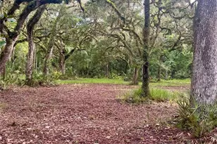 2260 Panorama Dr, Chuluota, FL 32766 - Photo 61