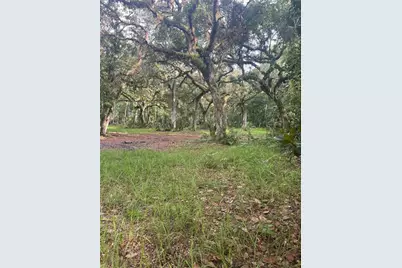 2260 Panorama Drive, Chuluota, FL 32766 - Photo 51