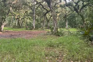 2260 Panorama Dr, Chuluota, FL 32766 - Photo 51