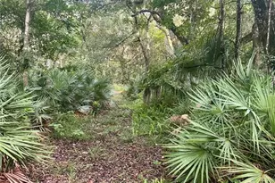 2260 Panorama Dr, Chuluota, FL 32766 - Photo 49
