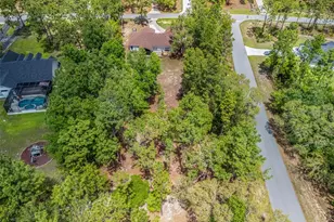 2187 Co Rd 243C, Wildwood, FL 34785 - Photo 59