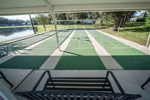 335 River Glass Ct, Leesburg, FL 34788 - Photo 61