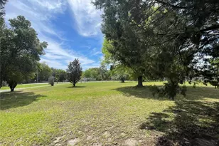 15121 SE 175th St, Weirsdale, FL 32195 - Photo 25