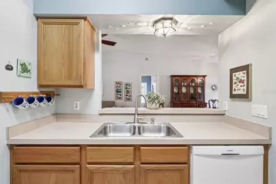 25723 Belle Alliance, Leesburg, FL 34748 - Photo 21