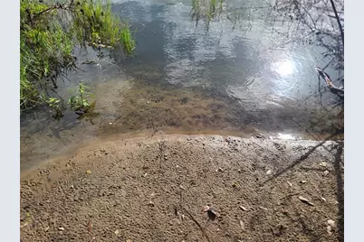 1408 Westmoreland Avenue, Eustis, FL 32726 - Photo 5