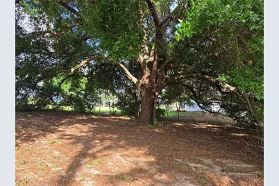 1408 Westmoreland Avenue, Eustis, FL 32726 - Photo 13