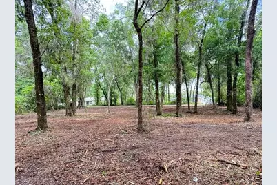 Locust Run Course, Ocala, FL 34472 - Photo 7