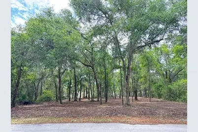 Locust Run Course, Ocala, FL 34472 - Photo 9