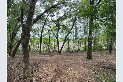 Locust Run Course, Ocala, FL 34472 - Photo 5