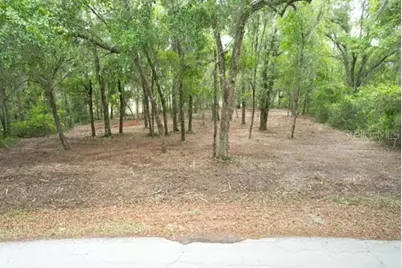 Locust Run Course, Ocala, FL 34472 - Photo 3