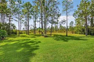 404 Long And Winding Rd, Howey in the Hills, FL 34737 - Photo 61