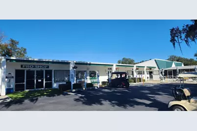 9 S Bobwhite Road, Wildwood, FL 34785 - Photo 33