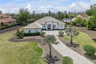 15220 Pendio Dr, Bella Collina, FL 34756 - Photo 3