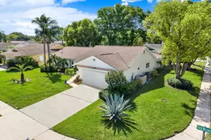 9806 Didrikson Dr, New Port Richey, FL 34655 - Photo 31