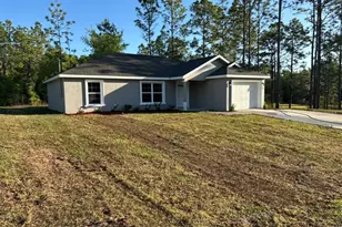 339 W Goldcoast Pl, Dunnellon, FL 34434 - Photo 3