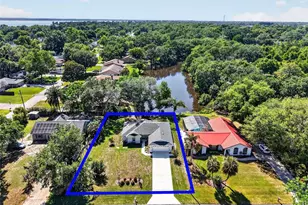 335 Vincent Dr, Mount Dora, FL 32757 - Photo 45