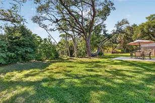 335 Vincent Dr, Mount Dora, FL 32757 - Photo 43