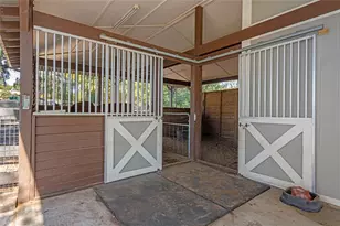 17531 County Rd 455, Montverde, FL 34756 - Photo 31