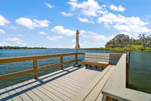 605 Sandlake Ct, Mount Dora, FL 32757 - Photo 57