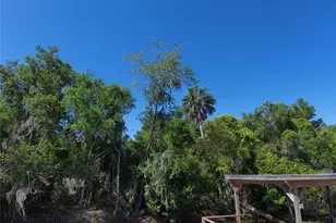 7152 Palm Ave, Leesburg, FL 34788 - Photo 37