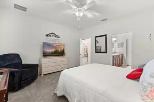 22024 Belgian Ct, Mount Dora, FL 32757 - Photo 15