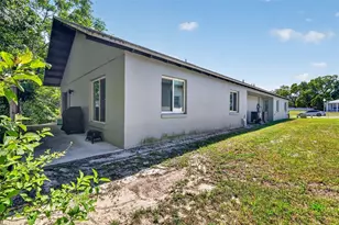 196 Parrotte Ct, Mount Dora, FL 32757 - Photo 19
