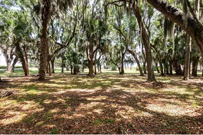 Tbd Deer Island Road, Tavares, FL 32778 - Photo 11