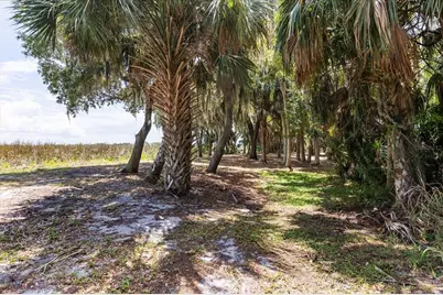 Tbd Deer Island Road, Tavares, FL 32778 - Photo 19