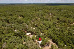 19448 SE 92nd Pl, Ocklawaha, FL 32179 - Photo 21