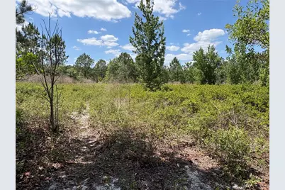 San Juan Ave #LOT 29, Polk City, FL 33868 - Photo 1