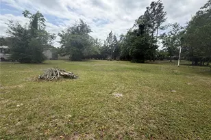 24138 Panther Rd, Astor, FL 32102 - Photo 17
