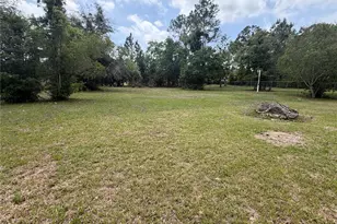24138 Panther Rd, Astor, FL 32102 - Photo 13