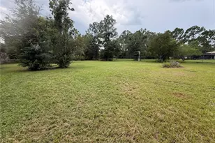 24138 Panther Rd, Astor, FL 32102 - Photo 45