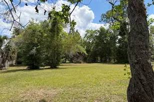 24138 Panther Rd, Astor, FL 32102 - Photo 25