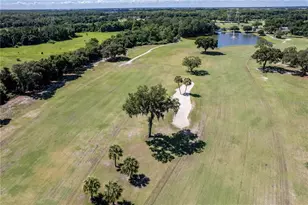 33 Bobcat Trail, Wildwood, FL 34785 - Photo 27