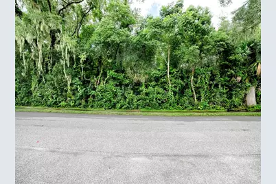 Tbd King Avenue, Zellwood, FL 32798 - Photo 5