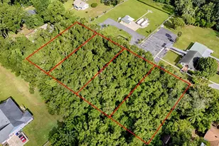 Tbd King Ave, Zellwood, FL 32798 - Photo 1