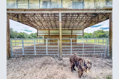 2713 Cr 776, Webster, FL 33597 - Photo 61