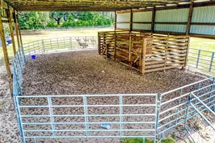 2713 Cr 776, Webster, FL 33597 - Photo 63