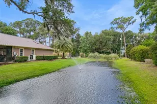 29650 Squirrel Point Rd, Tavares, FL 32778 - Photo 67