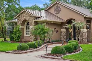 29650 Squirrel Point Rd, Tavares, FL 32778 - Photo 15