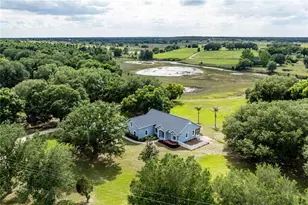 25101 Turkey Lake Rd, Howey in the Hills, FL 34737 - Photo 3