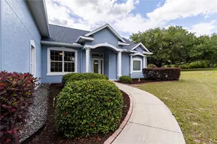 25101 Turkey Lake Rd, Howey in the Hills, FL 34737 - Photo 9