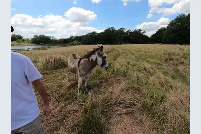 0 Earth Star Lane, Groveland, FL 34736 - Photo 71