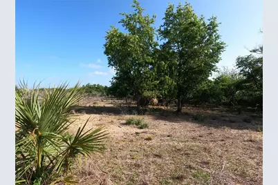 0 Earth Star Lane, Groveland, FL 34736 - Photo 7