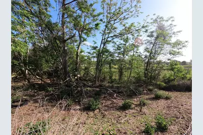 0 Earth Star Lane, Groveland, FL 34736 - Photo 3
