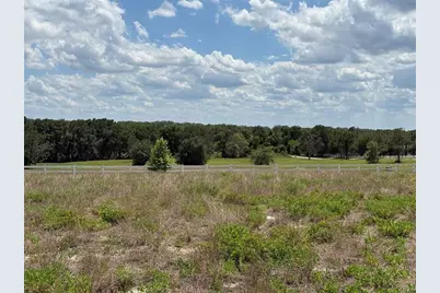 6115 Ranch Lake Road, Groveland, FL 34736 - Photo 27