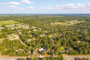19150 Co Rd 450, Umatilla, FL 32784 - Photo 31