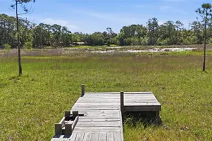 Tbd Holly Branch Rd, Eustis, FL 32736 - Photo 1