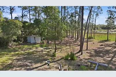 Tbd Holly Branch Road, Eustis, FL 32736 - Photo 7